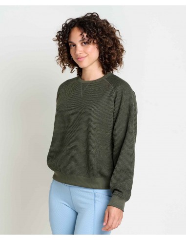 Toad & Co Bitterroot Pullover de technologie