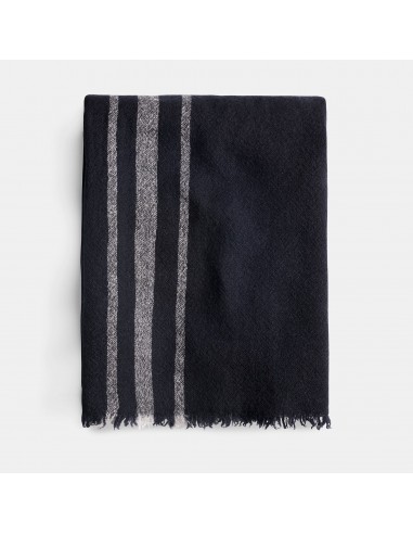 Sarti Cashmere Striped Scarf - Navy/Grey une grave pollution 